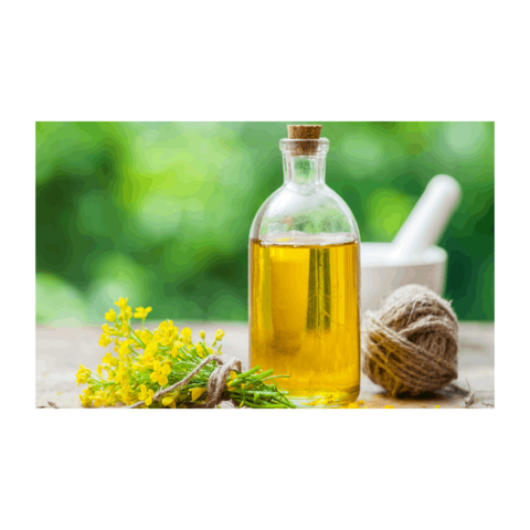 Buy Wholesale United States Canola Oil For Sale Agricultural Products