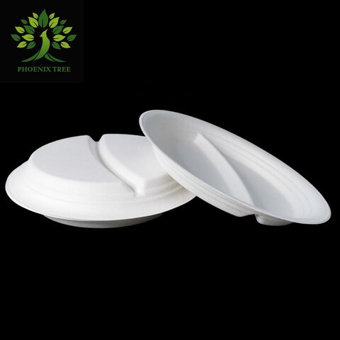 Ptpack Cane Syrup Dish Disposable Biodegradable Plates Sugarcane