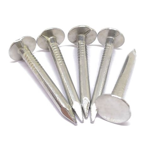 China Hot Dipped Galvanized Flat Head Common Nails Polished Common