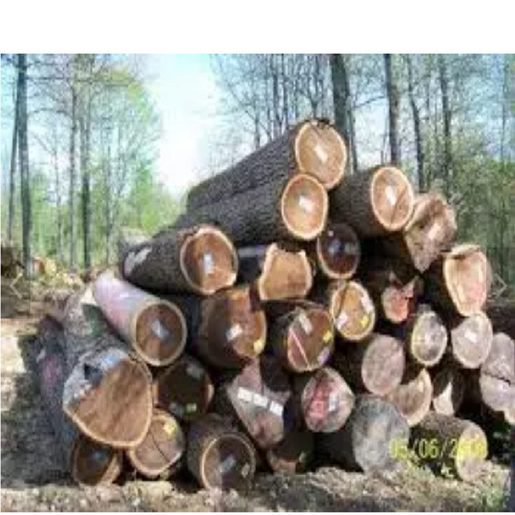 Buy Wholesale United States Top Selected Timbers Logs Suppliers Black