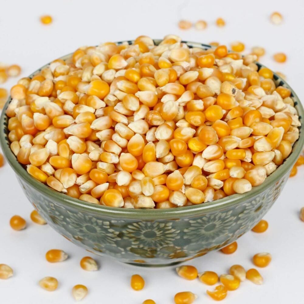 Buy Wholesale Czech Republic Grade Non Gmo White And Yellow Corn