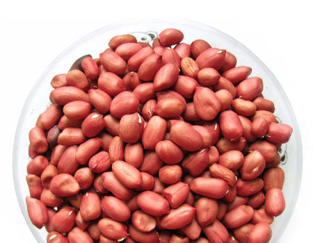 Rich In Protein Rich Organic Protein Kernel Raw Peanuts Kernel Peanut