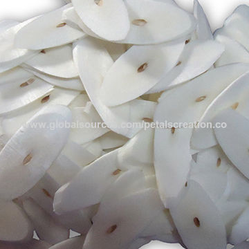 Sola Wood Petals Used In Craft Flowers Decoration Bouquet Sola Wood Petals India