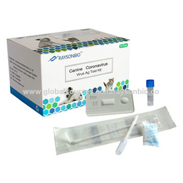 canine coronavirus