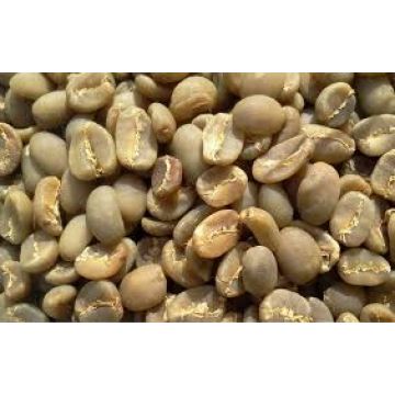 Does oil of oregano help you lose weight photo 10