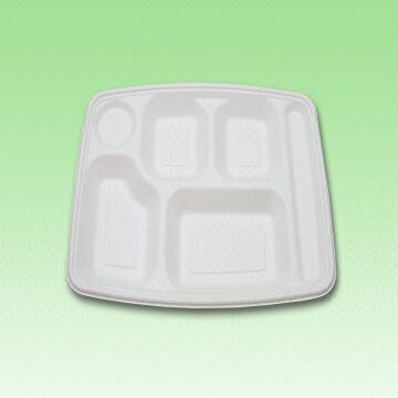 Disposable Tray /Biodegradable 6 compartments square tray, measures ... Disposable Tray /Biodegradable 6 compartments square tray, measures ...