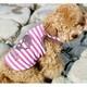Pet Clothes