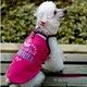 Pet Clothes