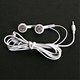 iPhone/iPod Earbuds