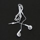 iPhone Earbuds with Microphone