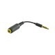 iPhone Earphone Adapter