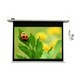 Motorized Screen 80 (4:3)