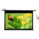 100 Motorized Glass-Bead Projection Screen