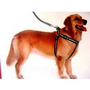 Reflective Flashing LED Dog Harness