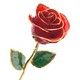 24K Gold-Lacquered Rose