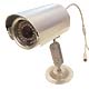 1/3 Sony CCD Day/Night Cameras With 36 IR LEDs
