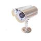 1/3 Sony CCD Day/Night Cameras With 35 IR LEDs