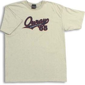 100% Cotton Promotional T-shirt Manufacturers