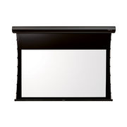 Projection Screen Manufacturers