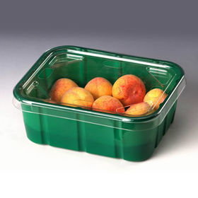 Plastic Packaging Manufacturers