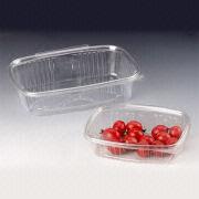 Disposable Food Container Manufacturers