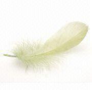 Feather and Down Testing Service Manufacturers