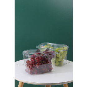 Fruit Container Manufacturers