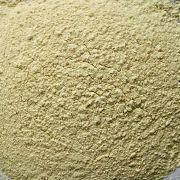 Garlic Powder Manufacturers