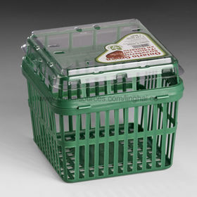 Disposable Fruit Packaging Manufacturers
