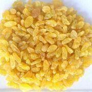 Preserved Fruit Manufacturers