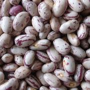 Kidney Beans Manufacturers