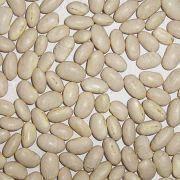 White Kidney Beans Manufacturers