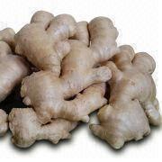 Fresh Ginger Manufacturers