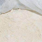 Garlic Powder Manufacturers