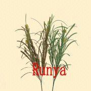 Artificial Flower Manufacturers