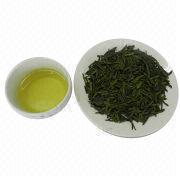 Green Tea Manufacturer