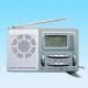 AM/FM 4-Band PLL Radio from China (mainland)