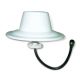 GSM/CDMA/UMTS Antenna from Taiwan