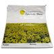 LDPE Bags from China (mainland)
