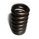Compression Spring from China (mainland)