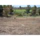 Grassland Mesh from China (mainland)