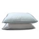 Pillows from China (mainland)