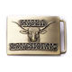 Belt Buckle from China (mainland)