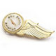 Emblem/Lapel Pin from China (mainland)
