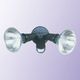 Spot Light from China (mainland)