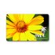 Printing Card from China (mainland)