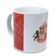 Porcelain Mug from China (mainland)