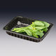 Food Tray from China (mainland)