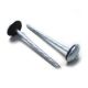 Roofing Nails from China (mainland)