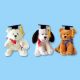 Stuffed Toy from China (mainland)